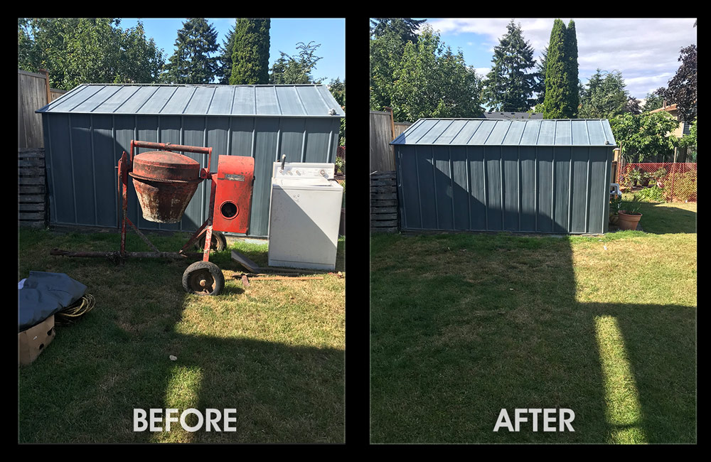 Yard cleanup before and after